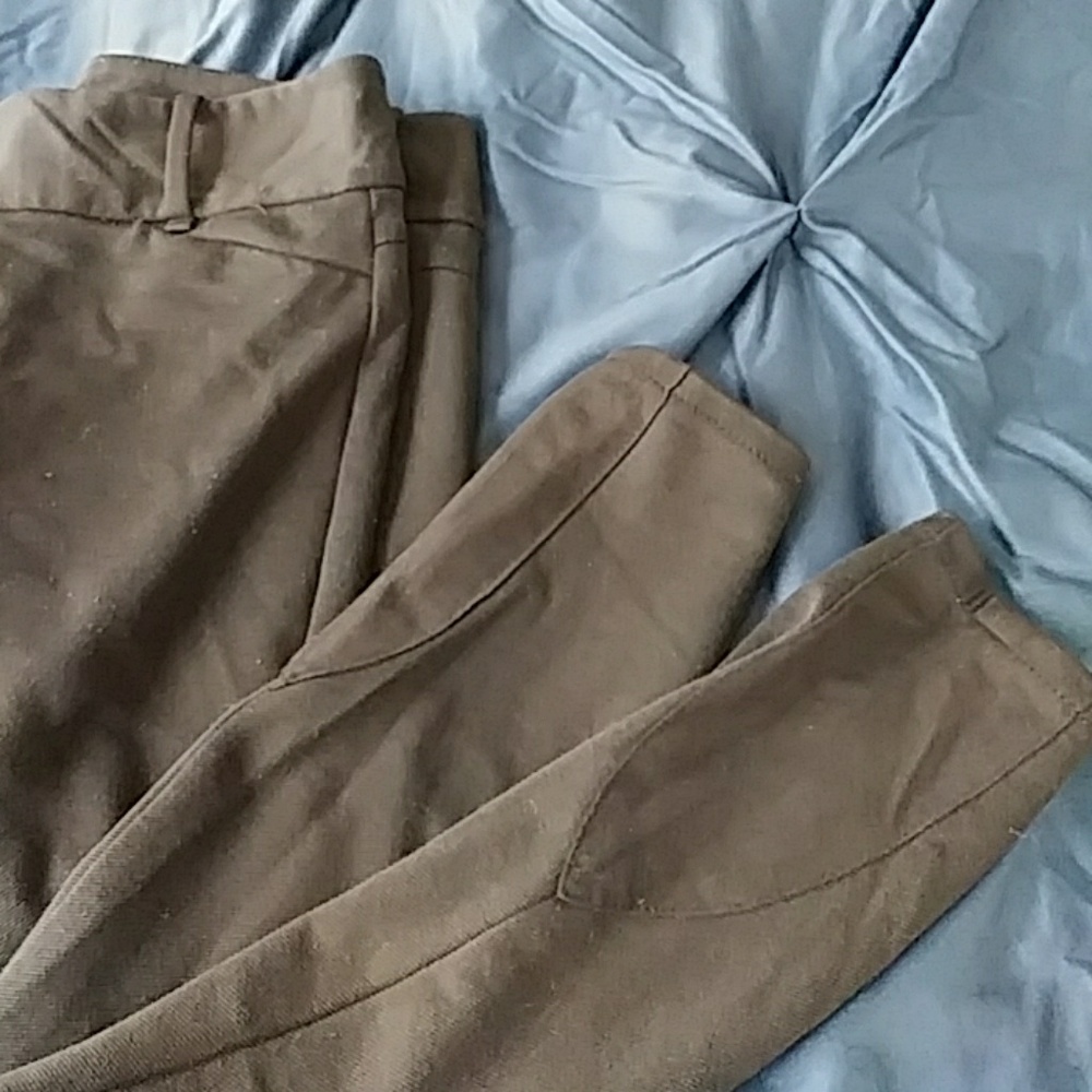 The Limited Riding Pant - Picture 4 of 4